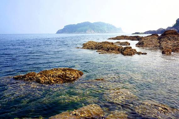 海绵宝宝寻珍宝
